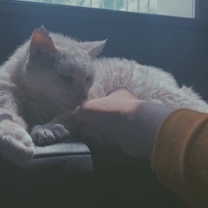 Meet your Posher, Jack